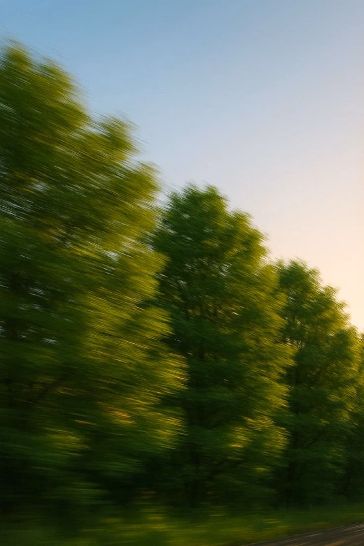 Freelancers & Creators