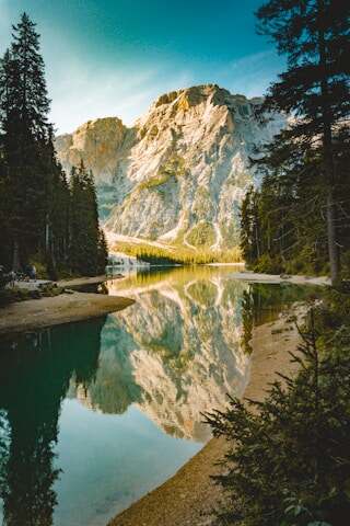 Workspace visual reference